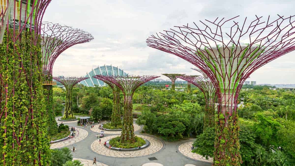 Gardens by the Bay Singapore