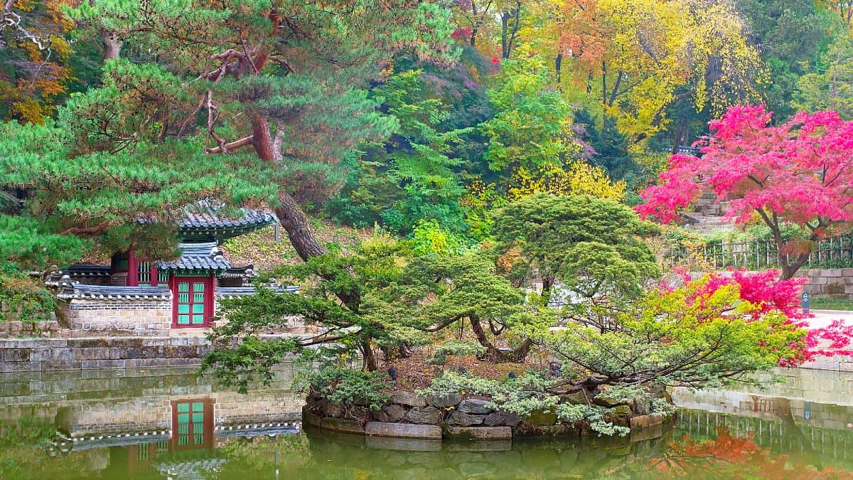 Lo stagno di Buyeongji, parco Huwon o Giardino Segreto, all'interno del Palazzo Changdeokgung a Seul
