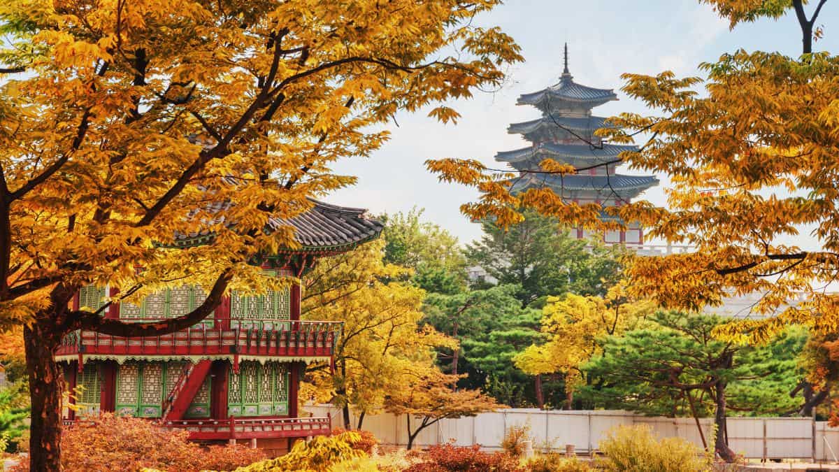 Quando andare in Corea del Sud